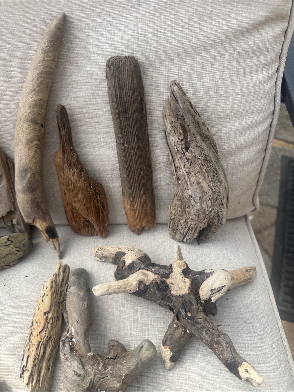 For LYNDA 19 pc (5 lb shipped) Natural Driftwood for Craft, Projects, Upcycle - Picture 13 of 16